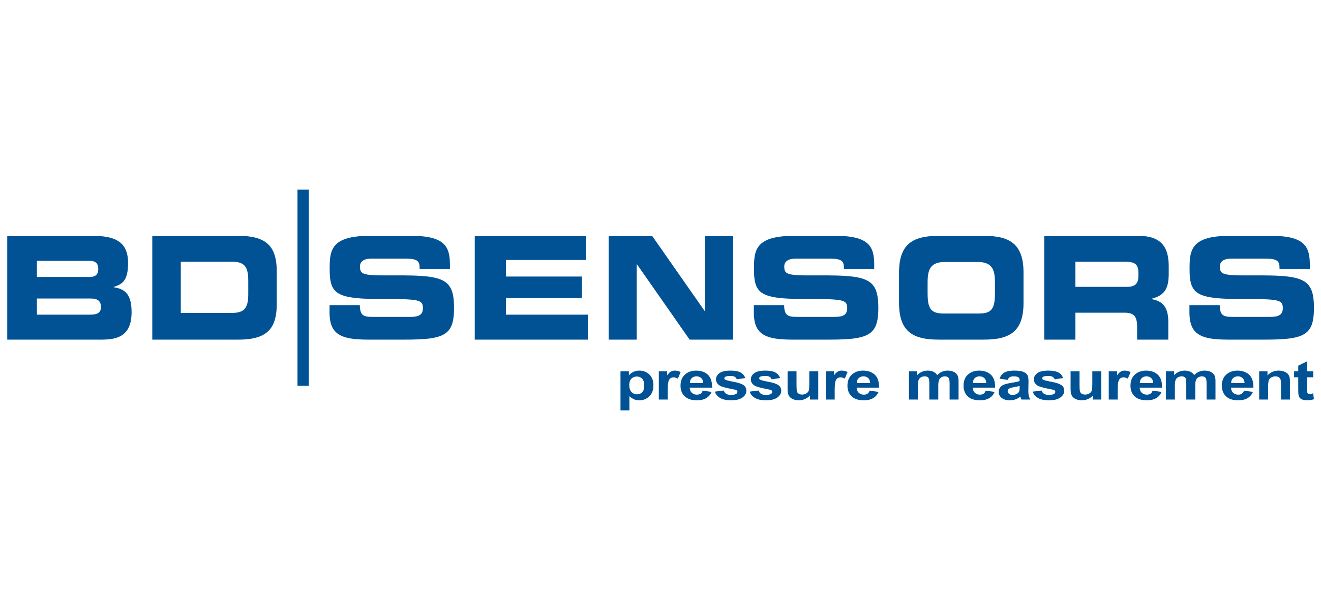 BDSENSORS_Logo_RGB_hires DEZ2022.jpg